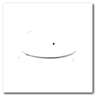 Outdoor Hidden Cameras for Sale